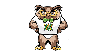 Be Wise Owl Character