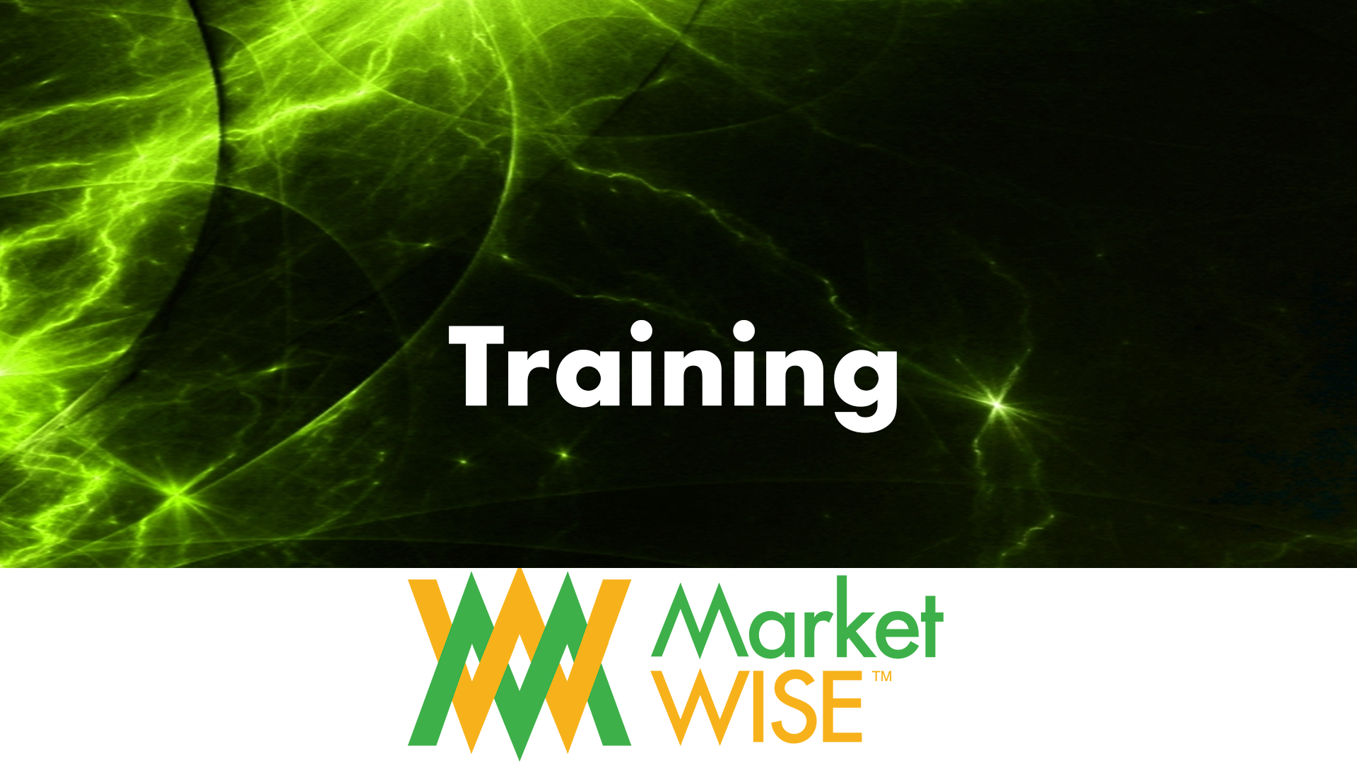 MArketwise training